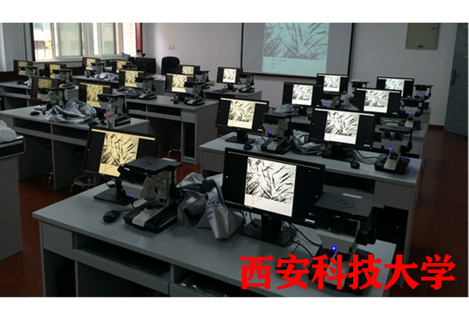 倒置金相显微镜
